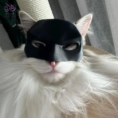 Batman Mask For Your Cat | قناع باتمان لقطتك